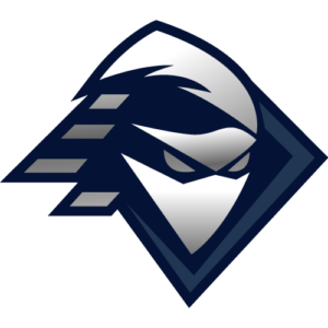 Ninja-Security-icon